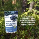 LOOV Freeze-Dried Organic Whole Wild Blueberries 113g