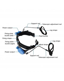 Bionic Lower Limb Assistance