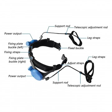 Bionic Lower Limb Assistance