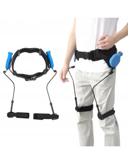 Bionic Lower Limb Assistance