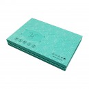 Photon Skin Rejuvenation Mask