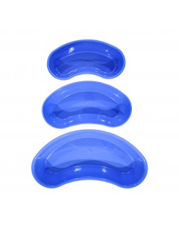 Standard Kidney Dish