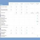 Ligastrap® Malleo Ankle Brace