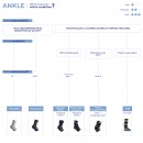 Ligastrap® Malleo Ankle Brace