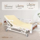 3 Crank Electrical Split Hospital Bed