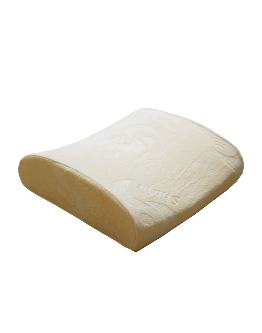 Back Support Cushion