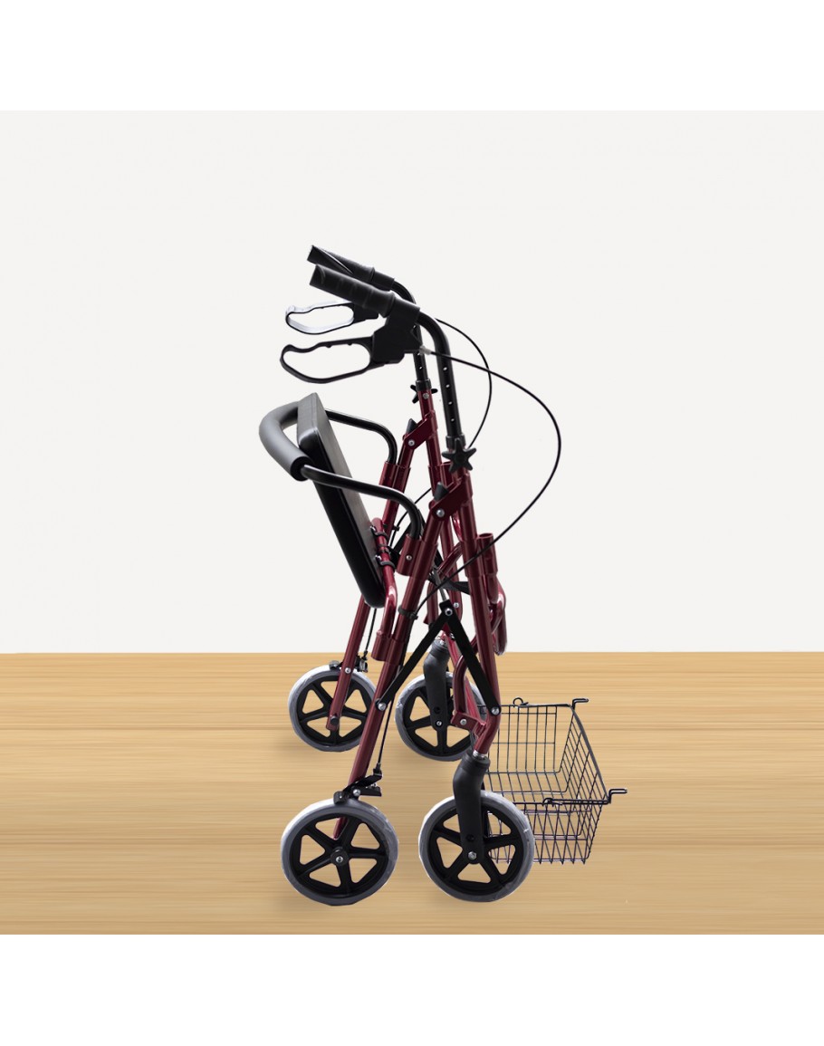 FS965LH-B Rollator