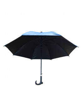 Blue Walking Stick Umbrella