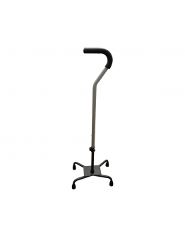 FT2602 Quad Cane