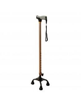 FT2613 Walking Stick