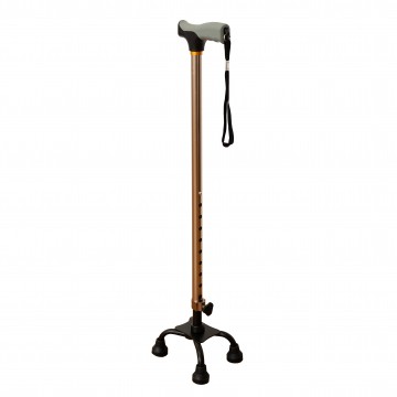 FT2613 Walking Stick