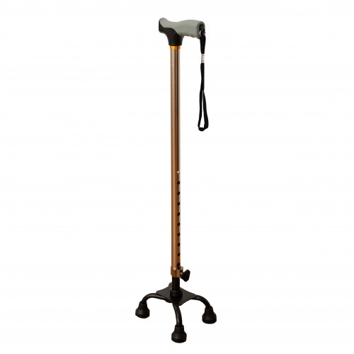 FT2613 Walking Stick