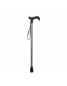 FT2604 Silver Walking Stick