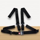 4-Point Safety Buckle Fixing Belt / Seat Belt (FT0713)