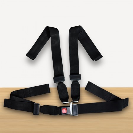 4-Point Safety Buckle Fixing Belt / Seat Belt (FT0713)