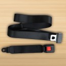Seat Belt for Wheelchair (FT0712)