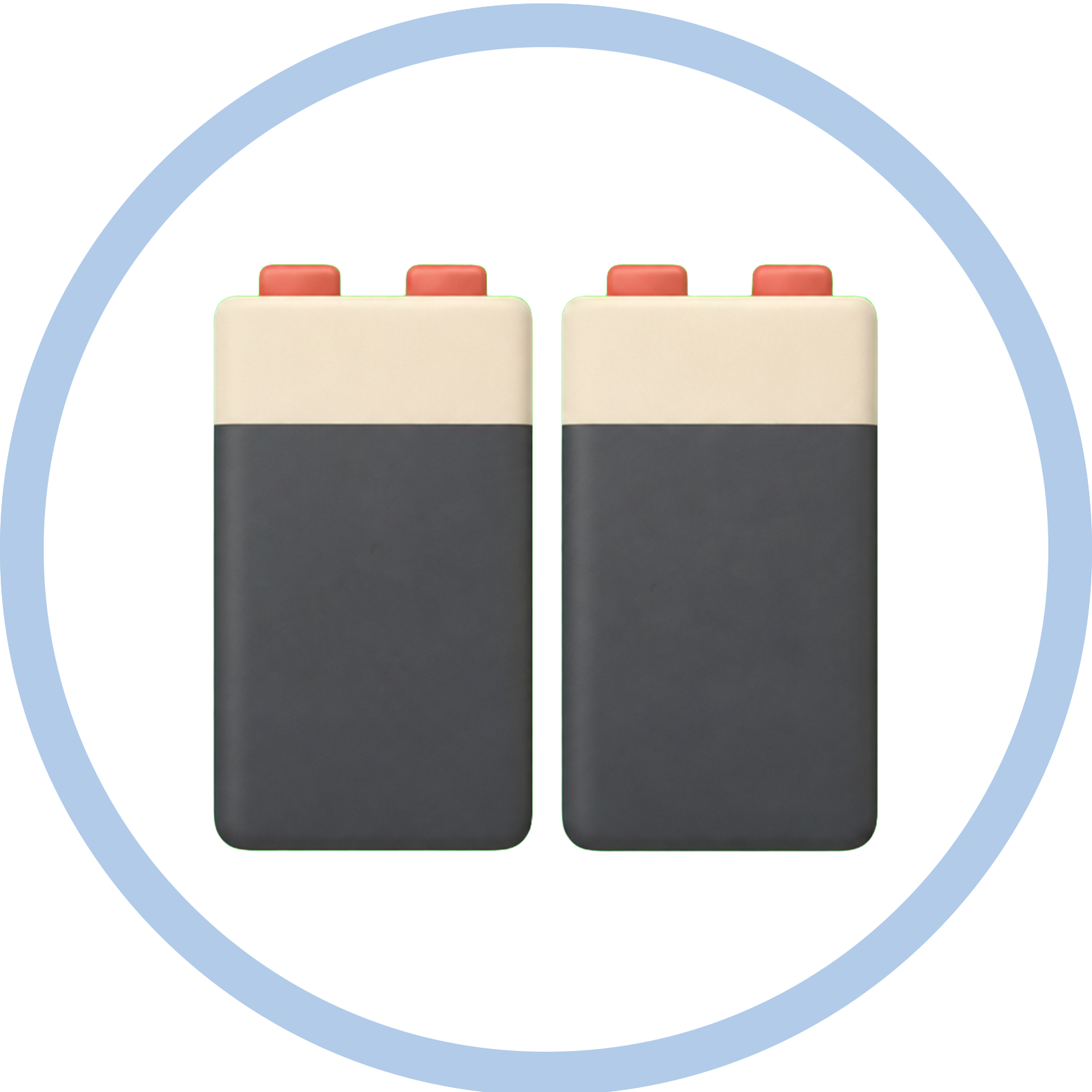 Two 9V alkaline batteries
